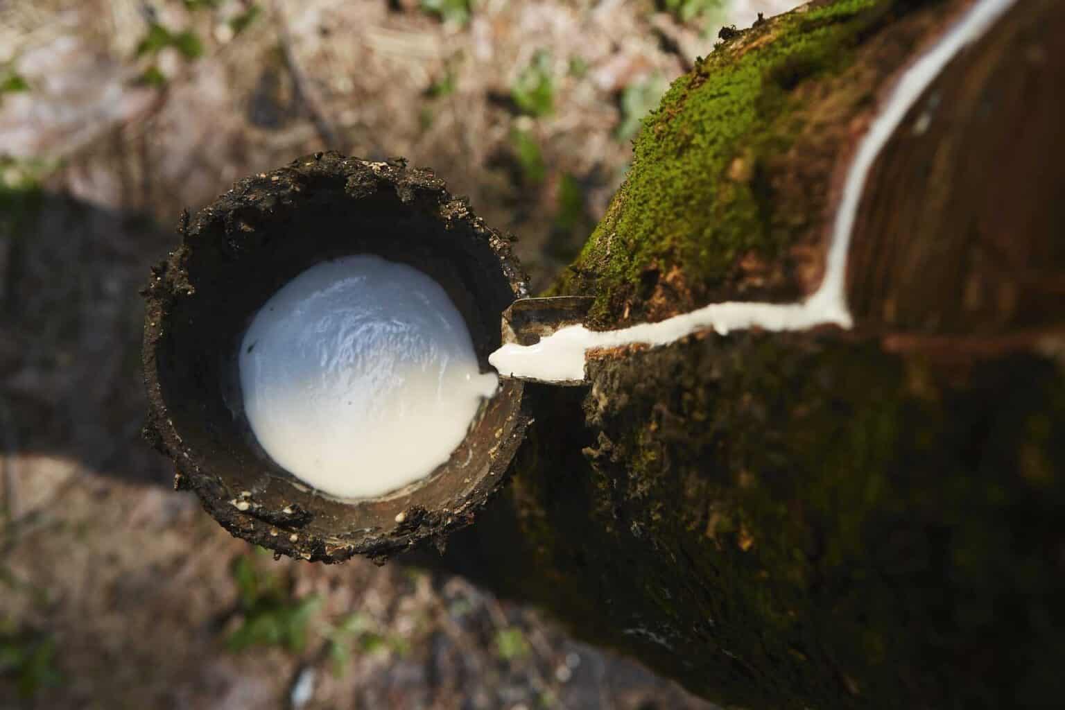 Tubi di gomma in lattice naturale da 1 m Tubo medico chirurgico elastico ad alta resistenza Applicazione di attrezzature da laboratorio per fness con fionda  13